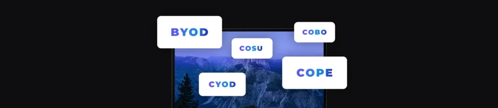 types-of-BYOD-graphical-representation