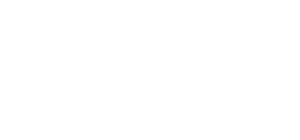 NS2