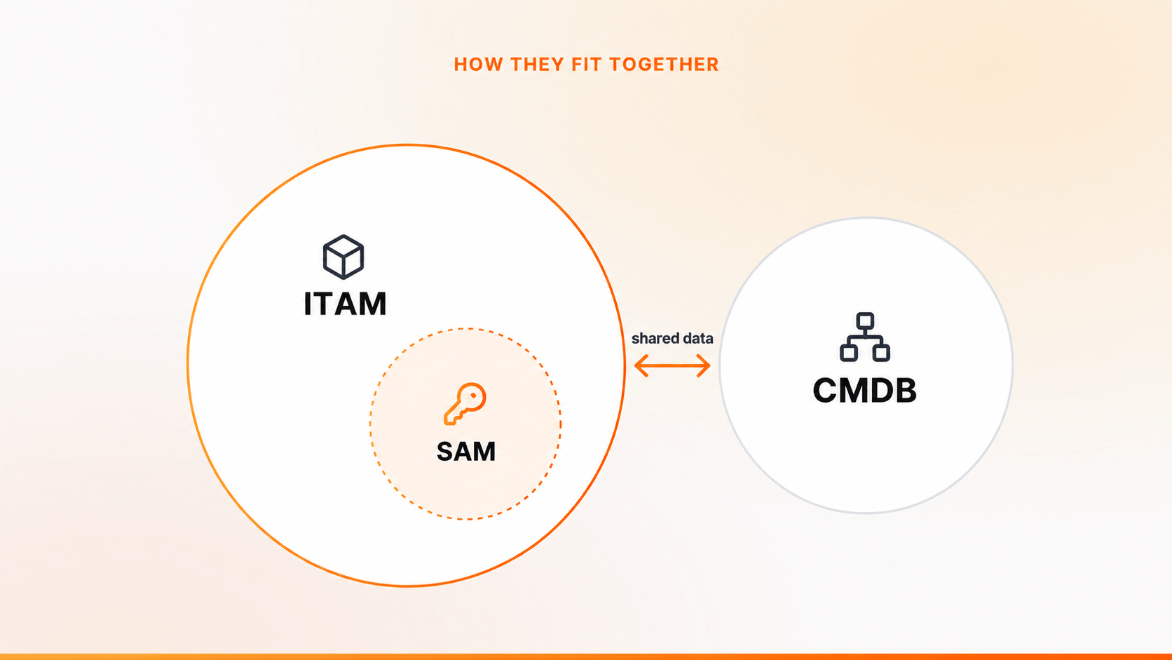 SAM vs ITAM vs CMDB